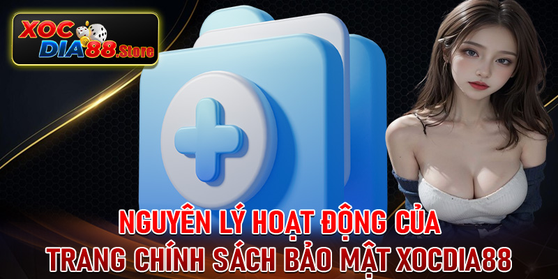 Nguyên lý hoạt động của trang chính sách bảo mật tại cổng game xocdia88 